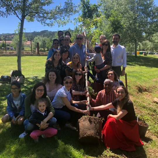 Portugal tree planting on World Asthma Day 2019 
