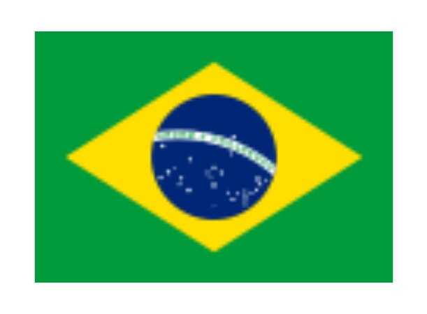 Brazil Flag