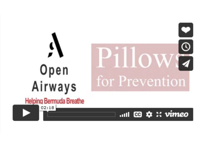 IPCRG Climate Change - Bermuda Pillows for Prevention