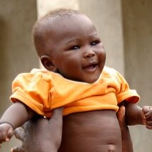 An optional pic This could be a logo if on e is available.