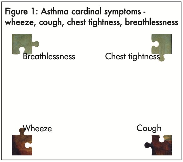 Figure 1: Asthma cardinal symptoms - wheeze, cough, chest tightness, breathlessness - click to enlarge