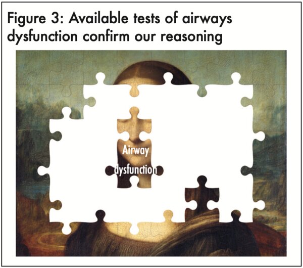 Figure 3: Available tests of airways dysfunction confirming our reasoning - click to enlarge