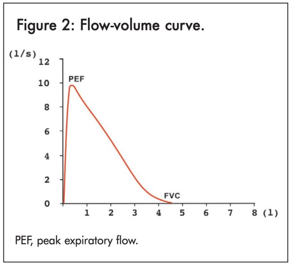 Figure 2: Flow-volume curve - click to enlarge Figure 2: Flow-volume curve - click to enlarge